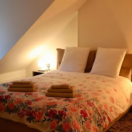 Appartamento 74m2 In The Center Of Parigi